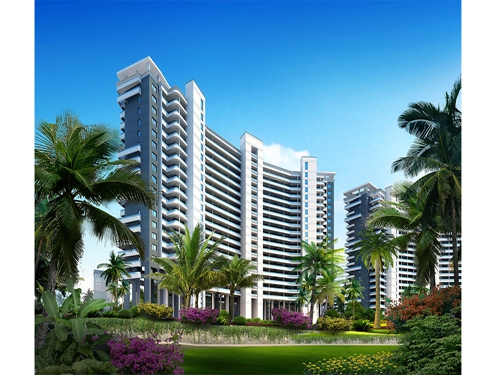 其实我也怕打扰你是什么歌